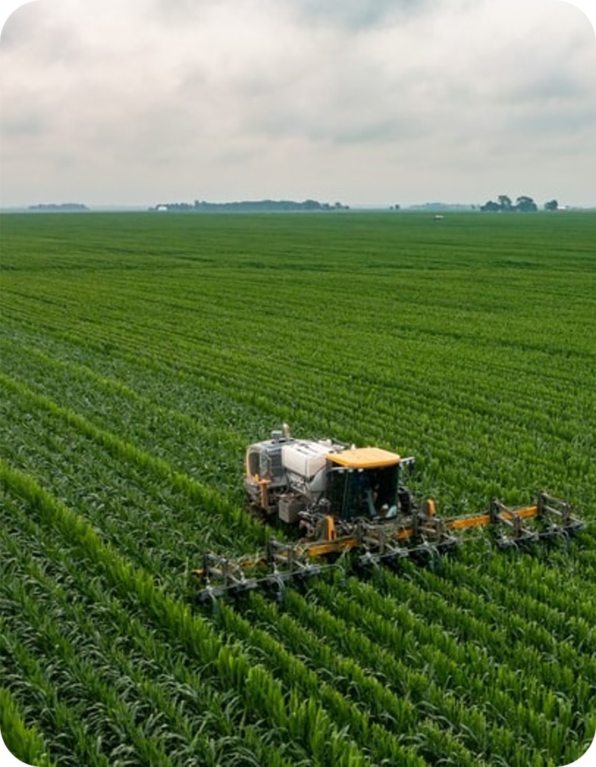 Agricultural landscape
